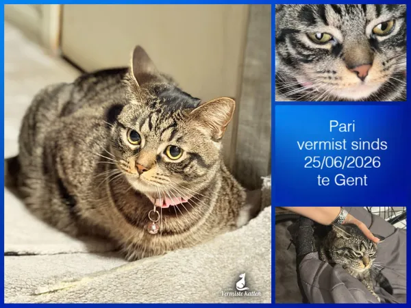 Pari