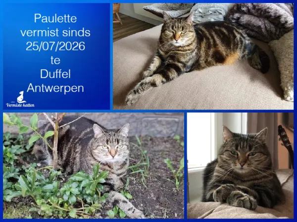 Paulette