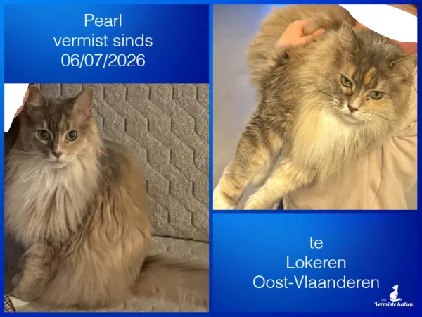 Pearl