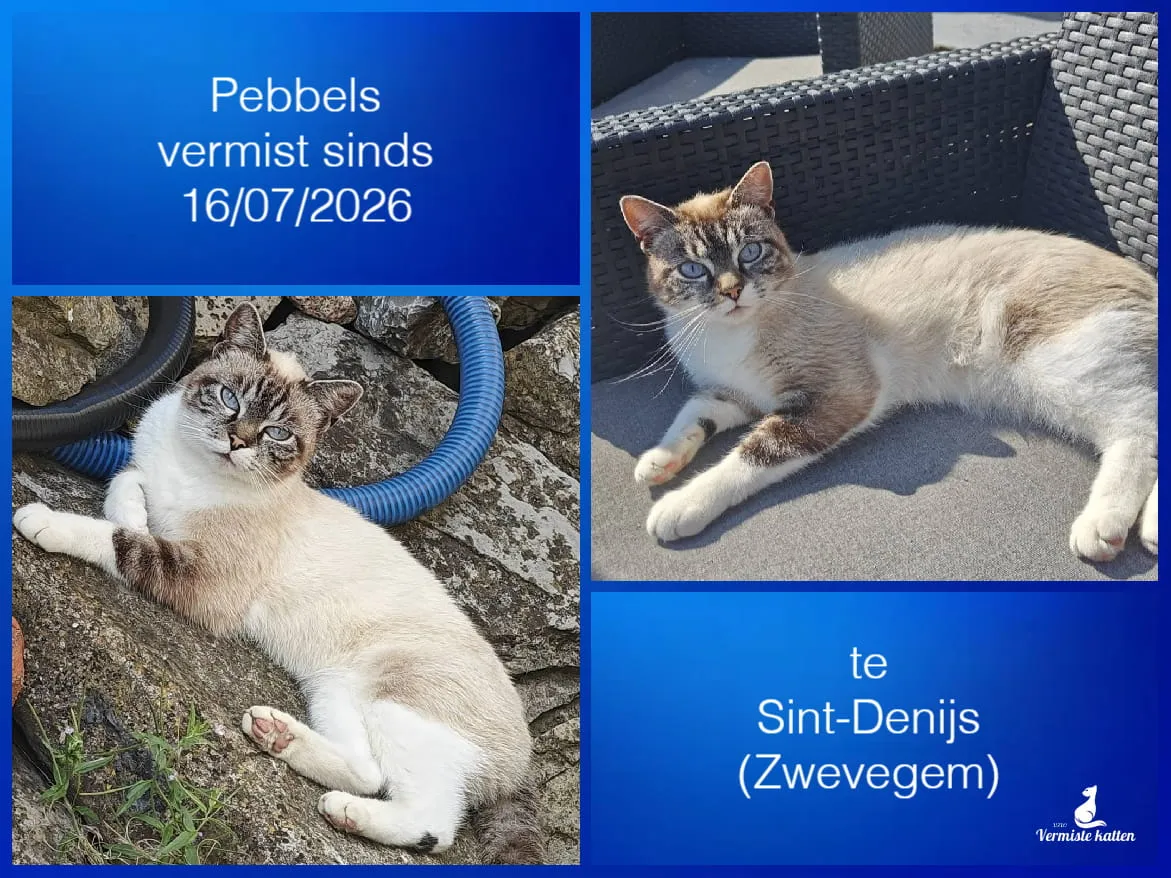 pebbels