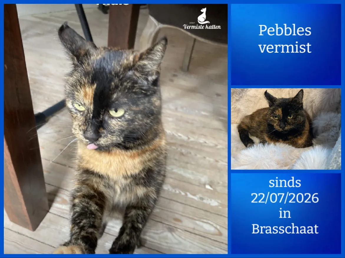 Pebbles