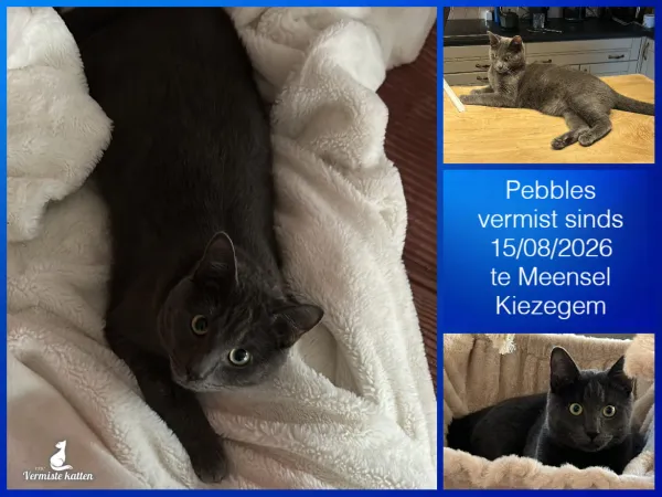Pebbles