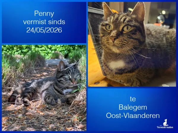 Penny