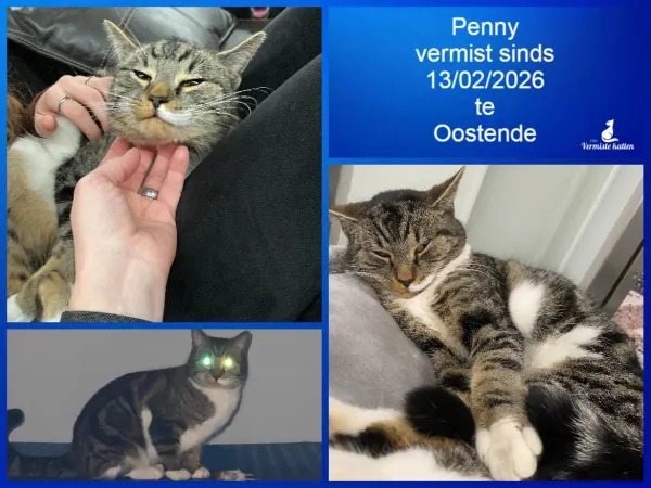 Penny