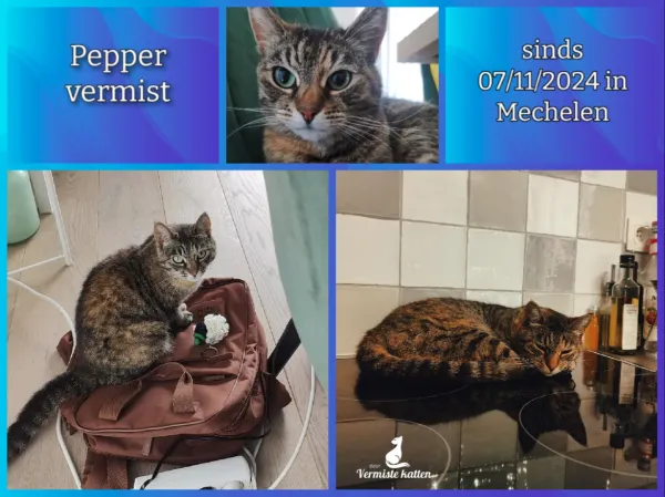 Pepper