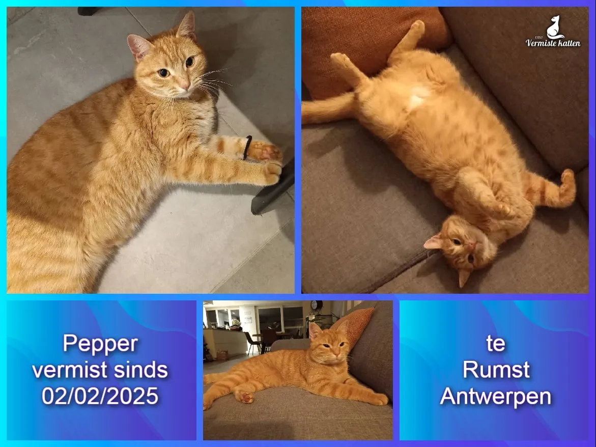 Pepper