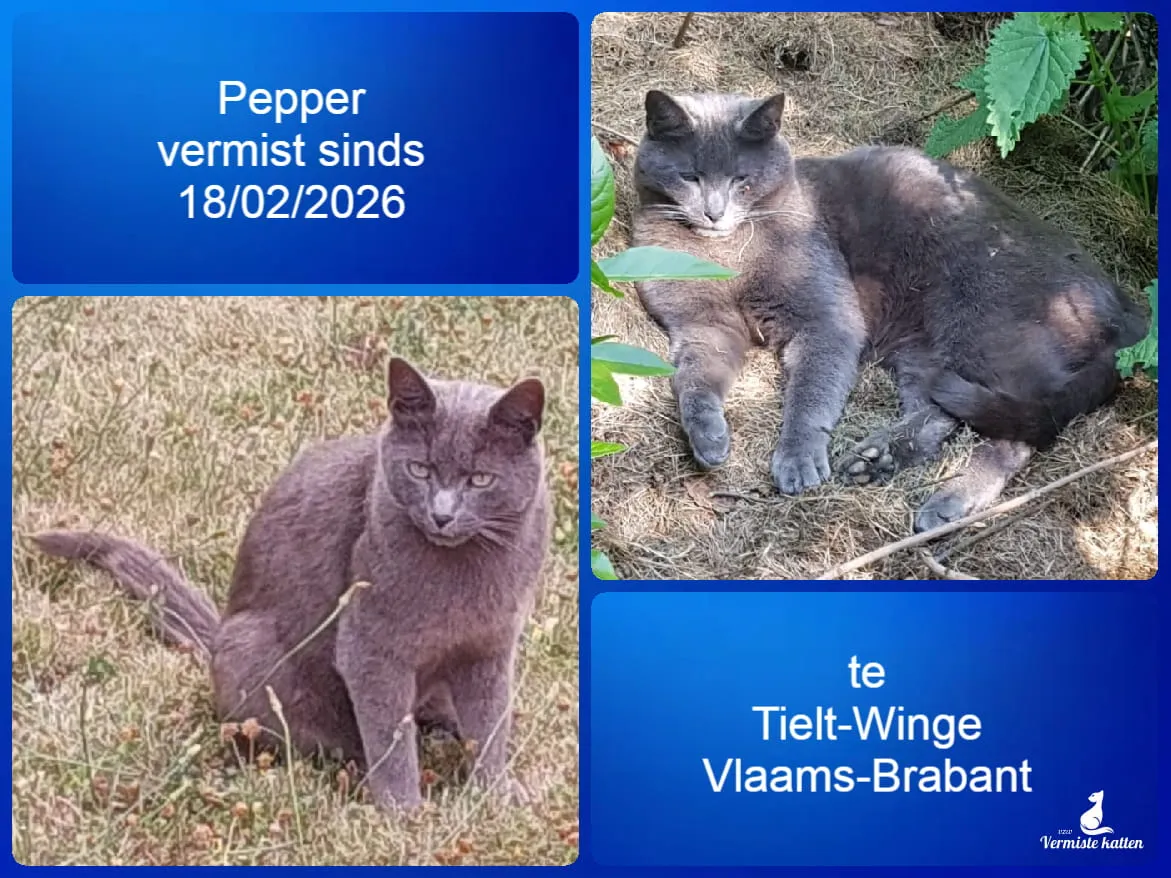 Pepper