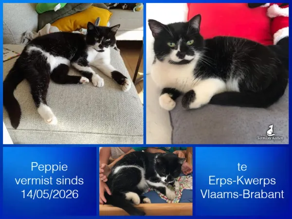 Peppie