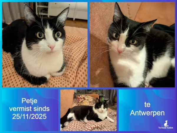 Petje