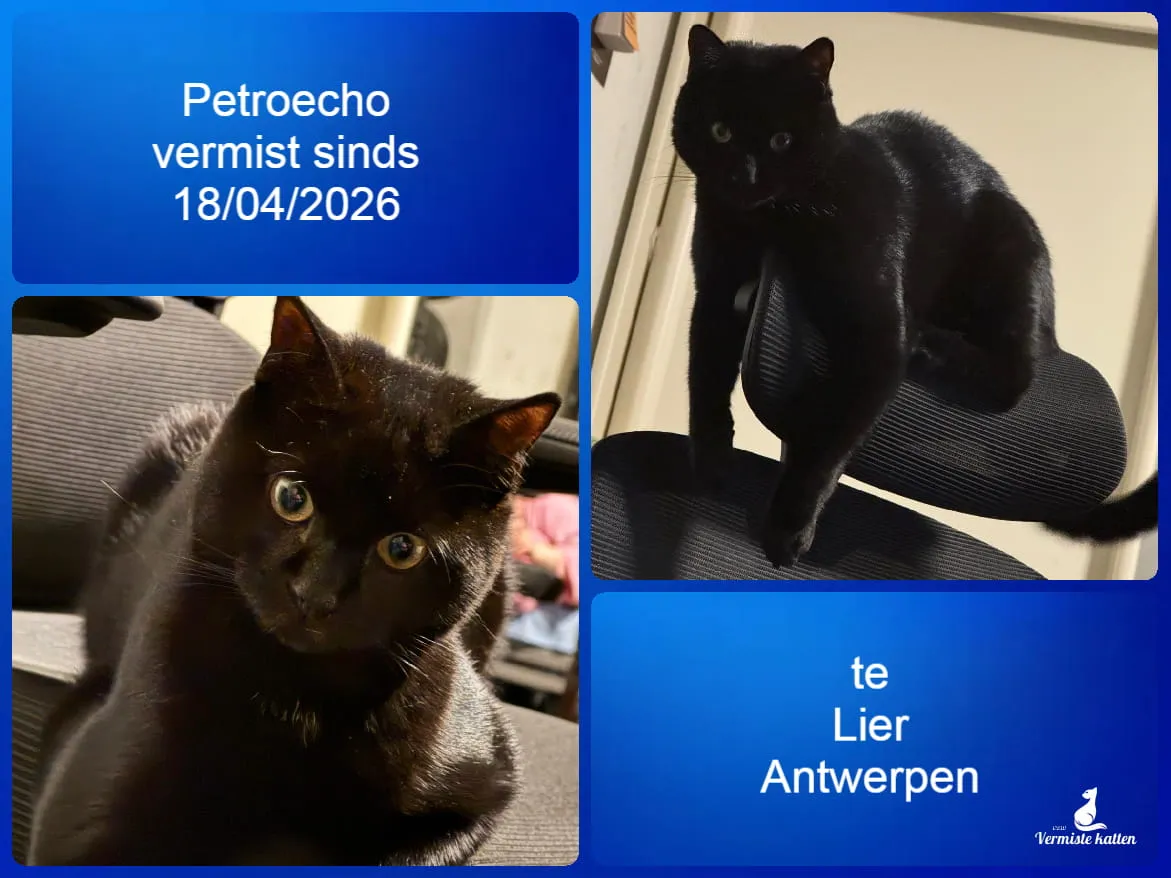 Petroecho