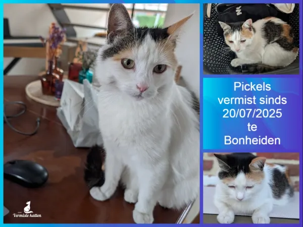 Pickels