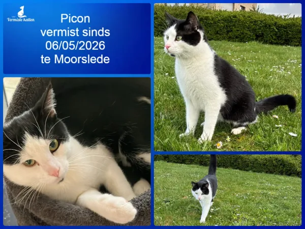 Picon