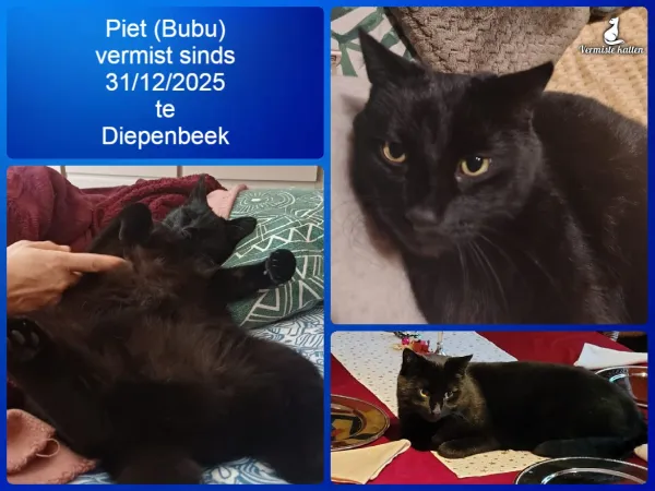 Piet (Bubu)