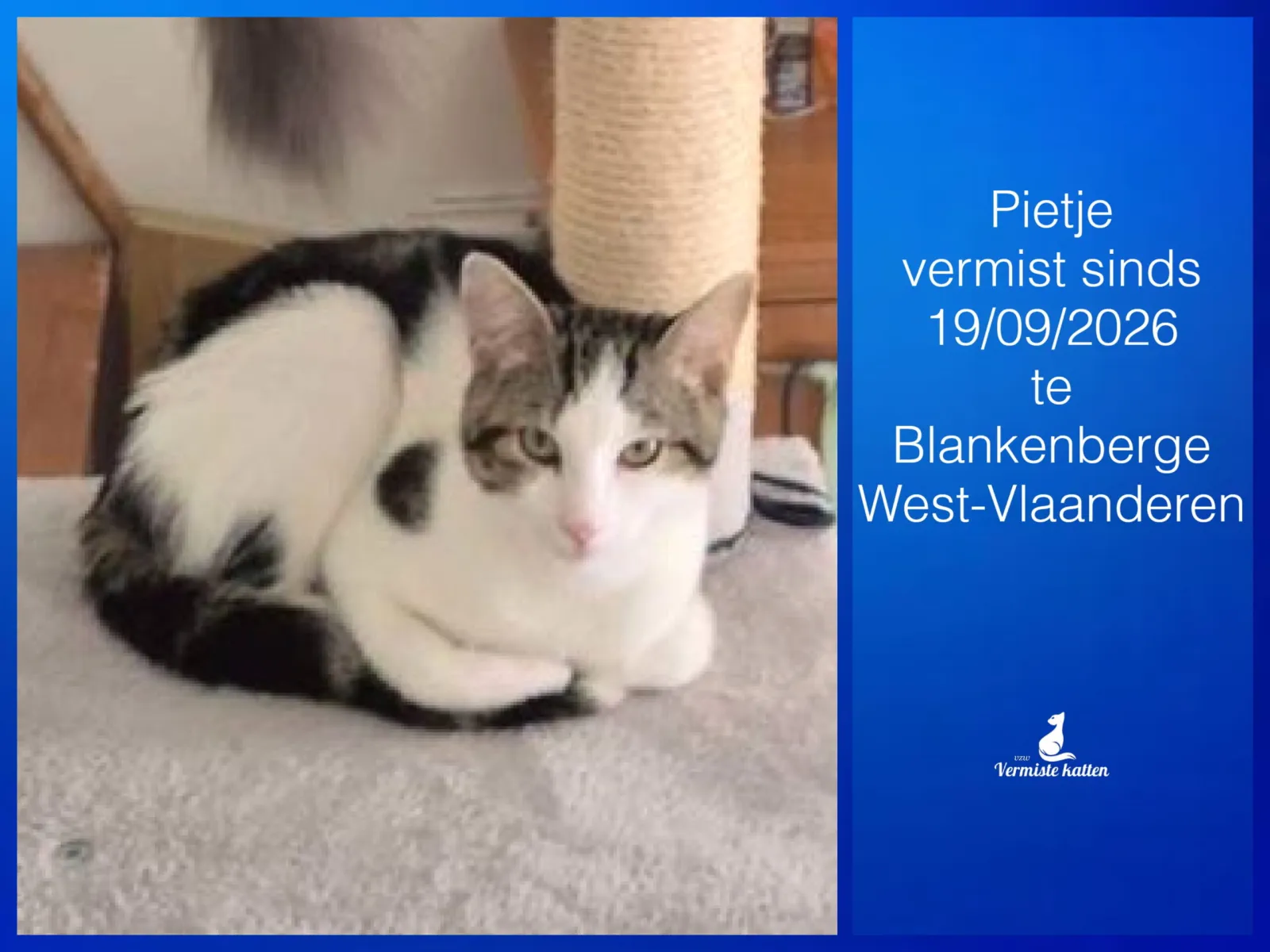 Pietje