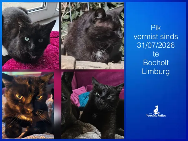 Pik