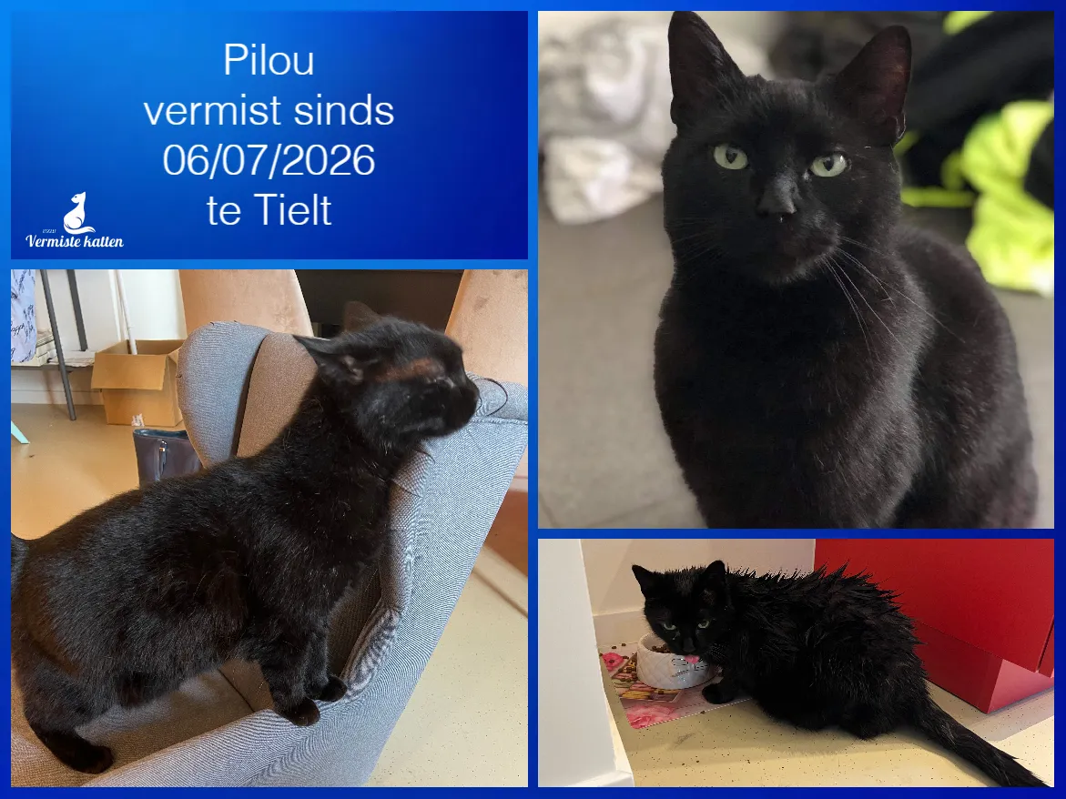 Pilou