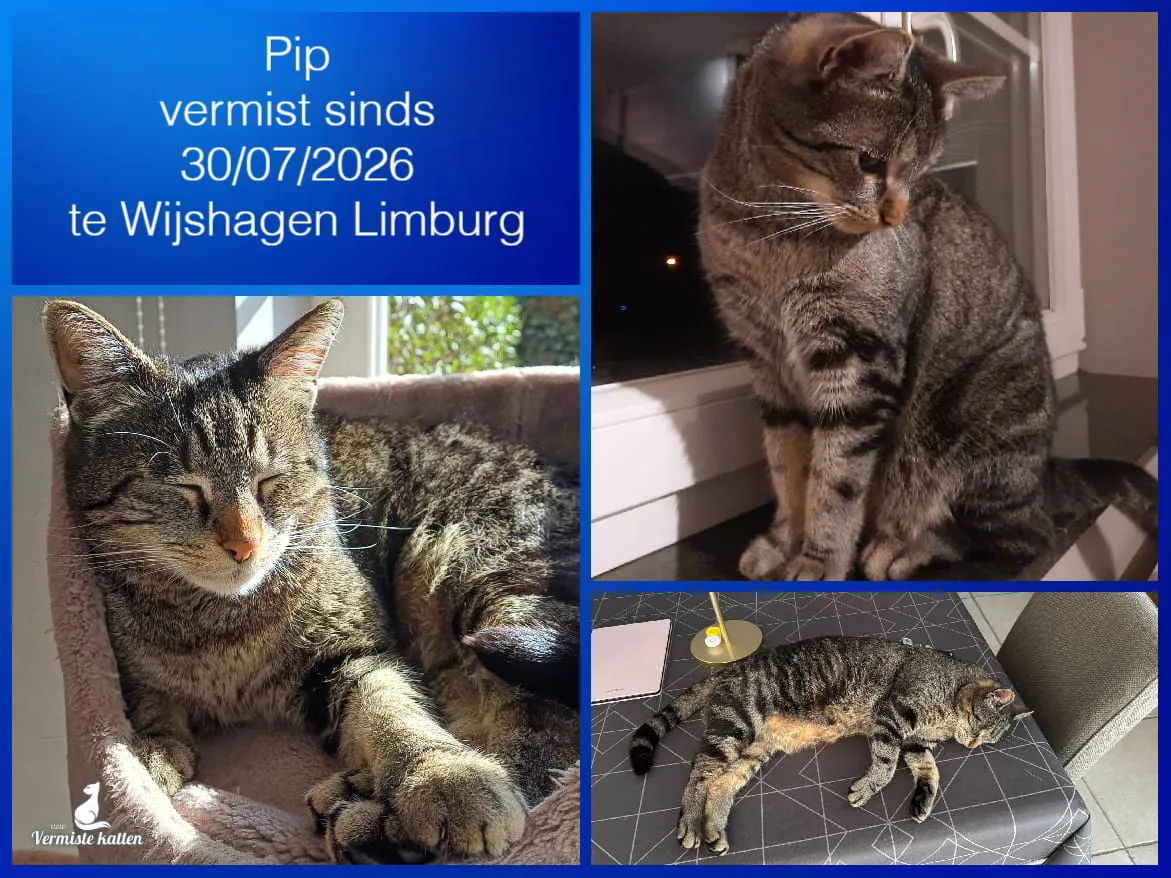 Pip