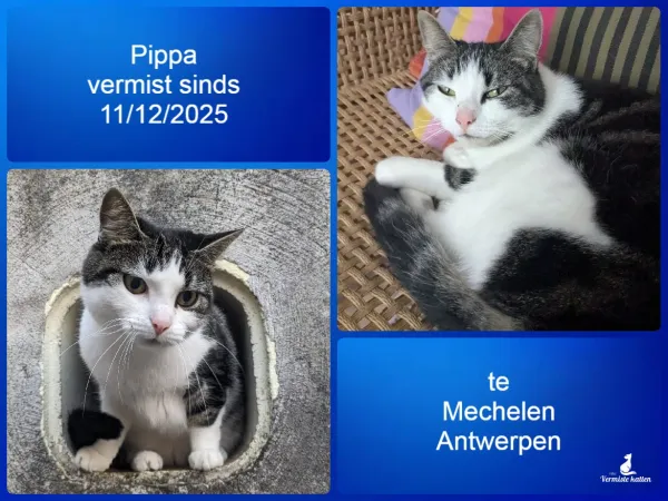 Pippa