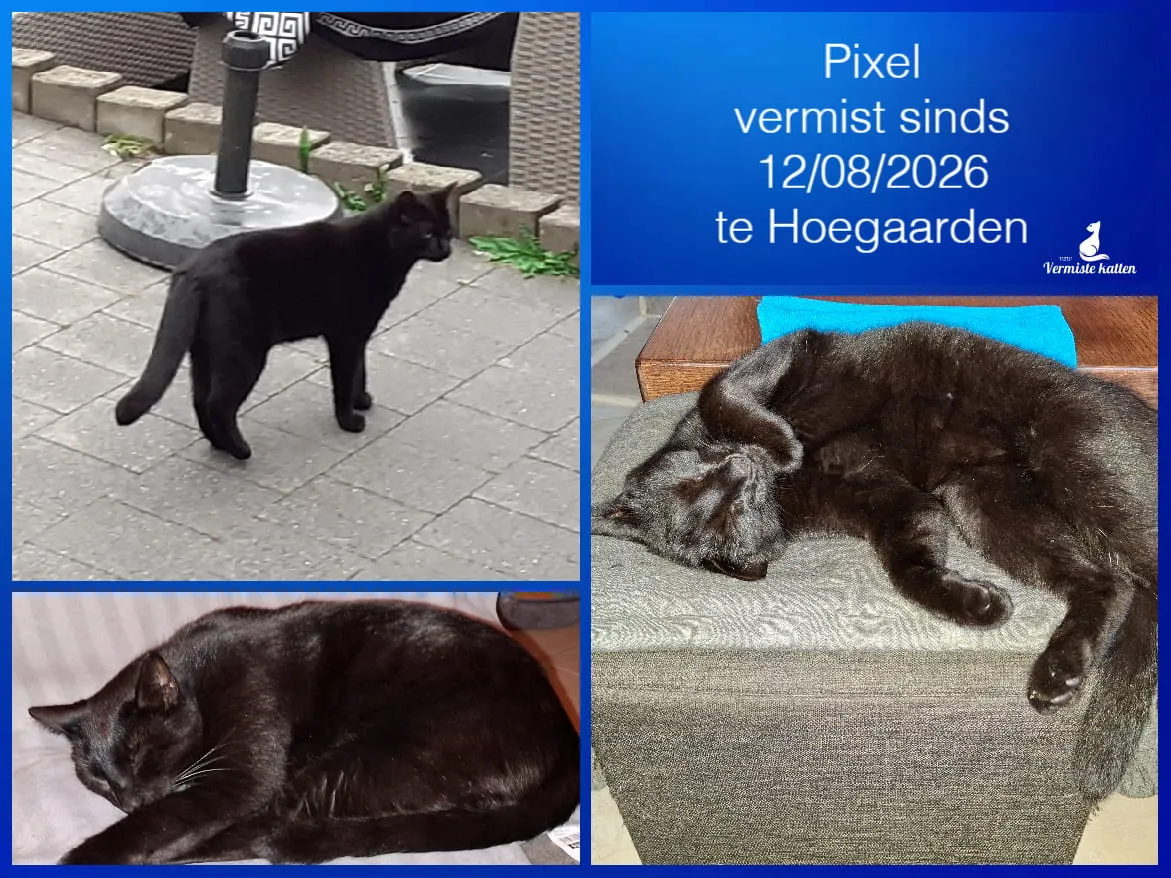 ¨Pixel
