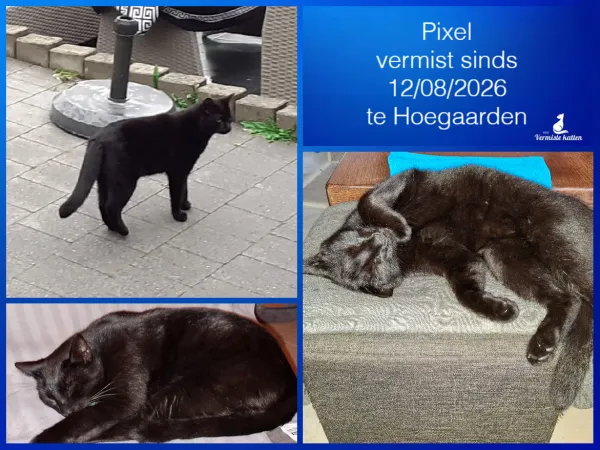 ¨Pixel