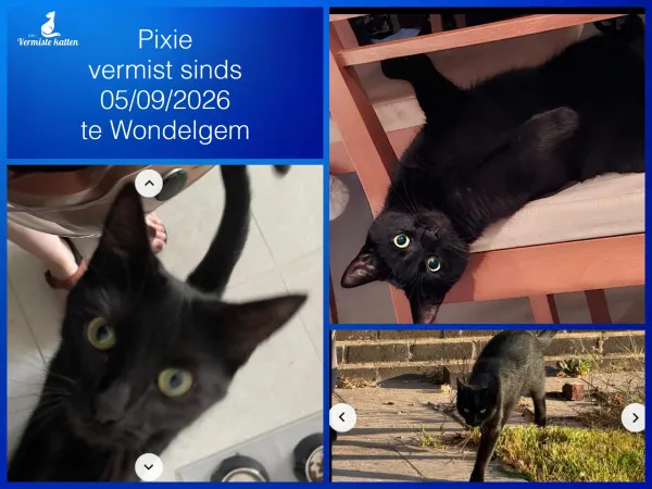 Pixie