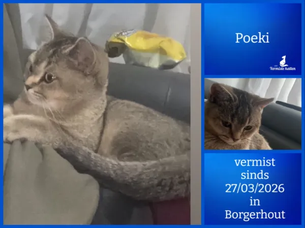 Poeki