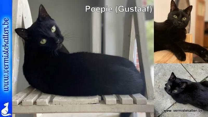 Poepie (roepnaam) Gustaaf