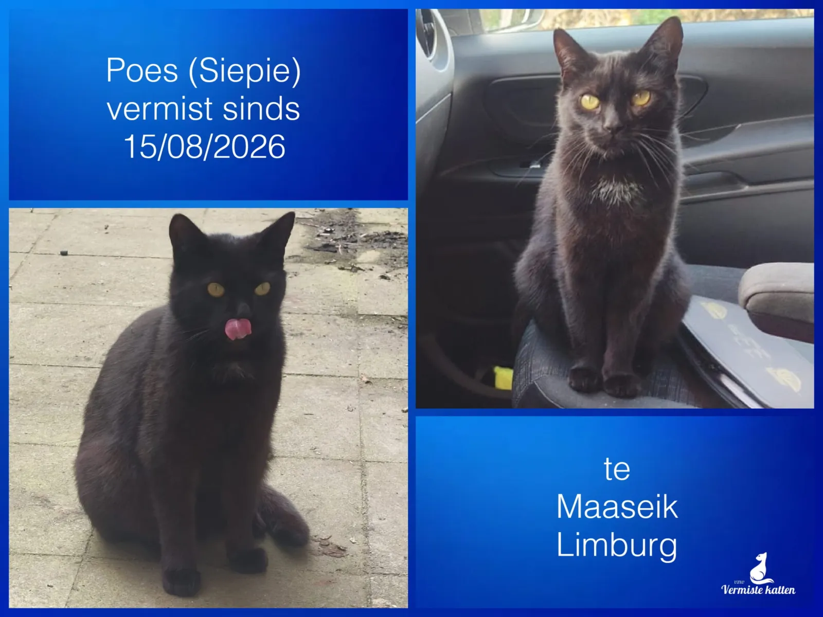 Poes/Siepie