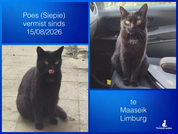 Poes/Siepie