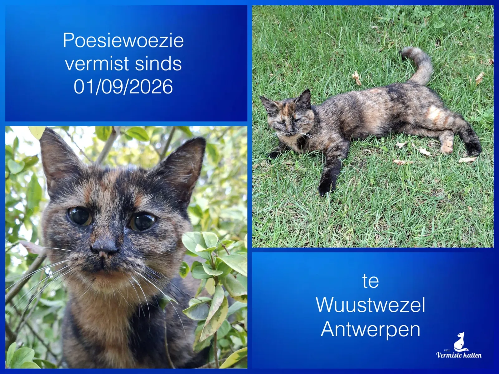 Poesiewoezie