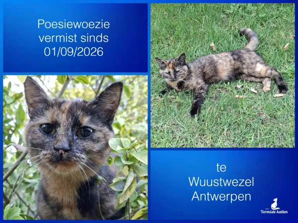 Poesiewoezie