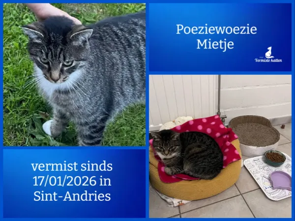 Poeziewoezie Mietje