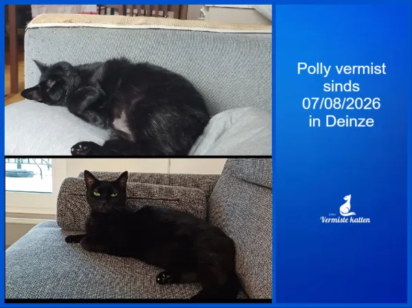 Polly