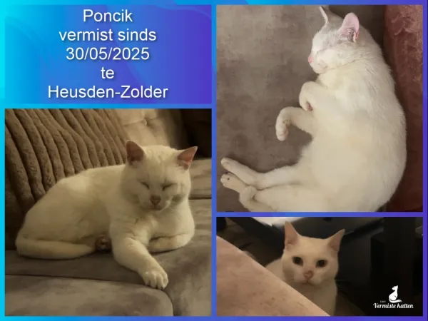 Poncik