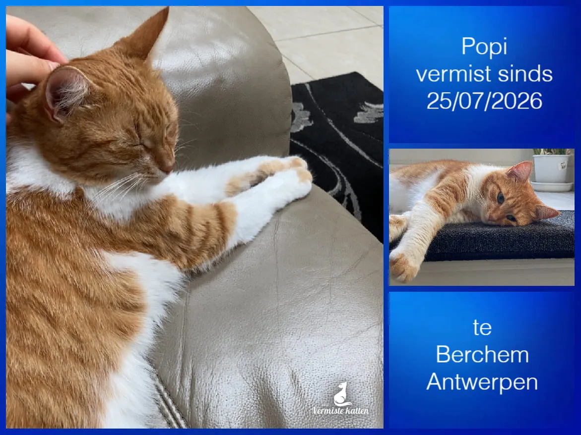Popi