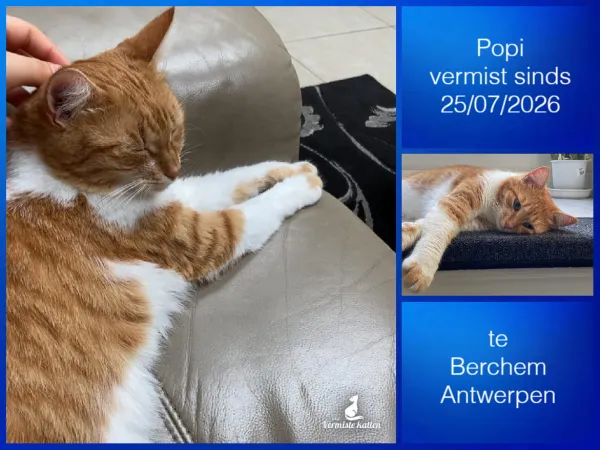 Popi