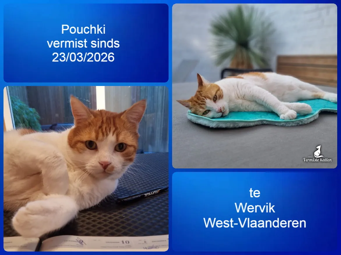 Pouchki