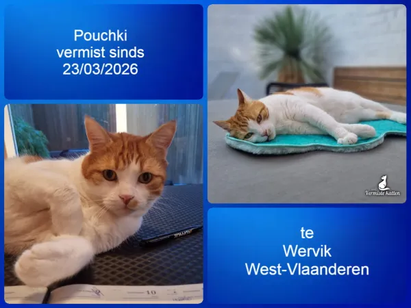 Pouchki