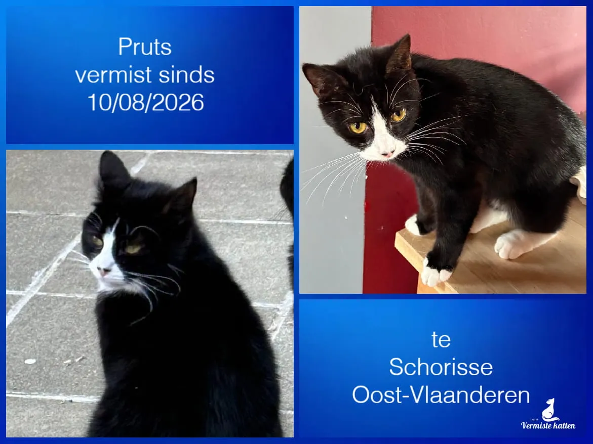 Pruts