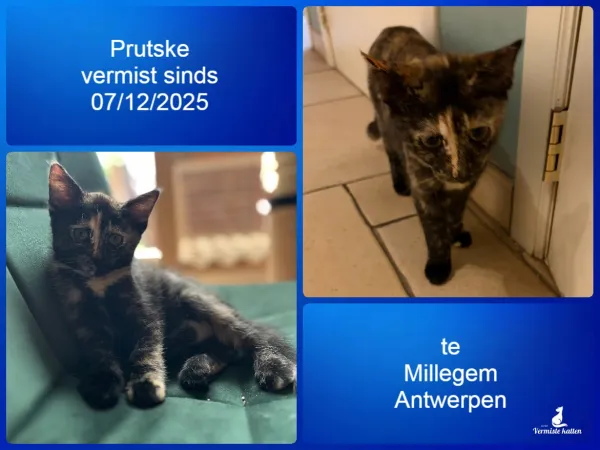 Prutske