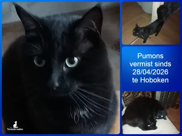 Pumons