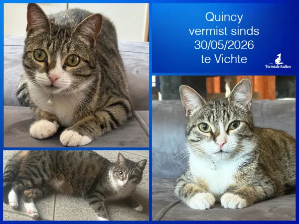 Quincy