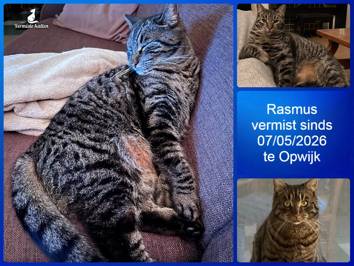Rasmus