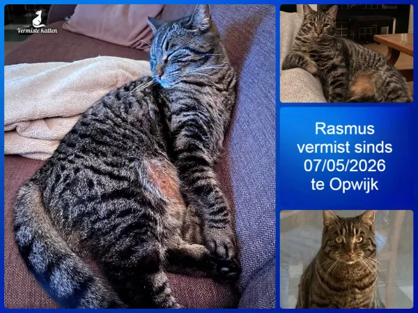 Rasmus