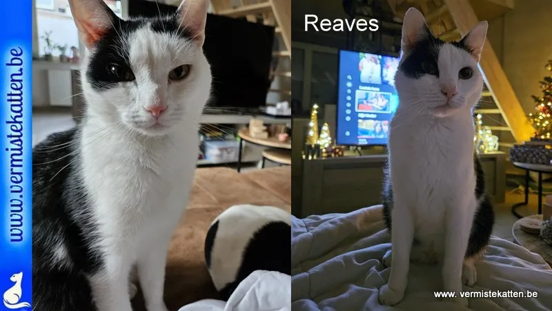 Reaves