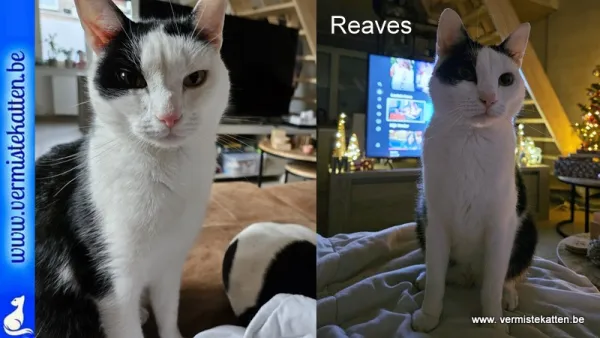 Reaves