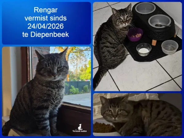 Rengar