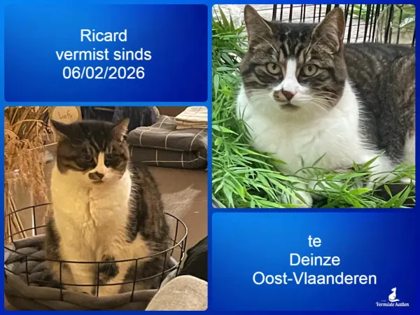 Ricard