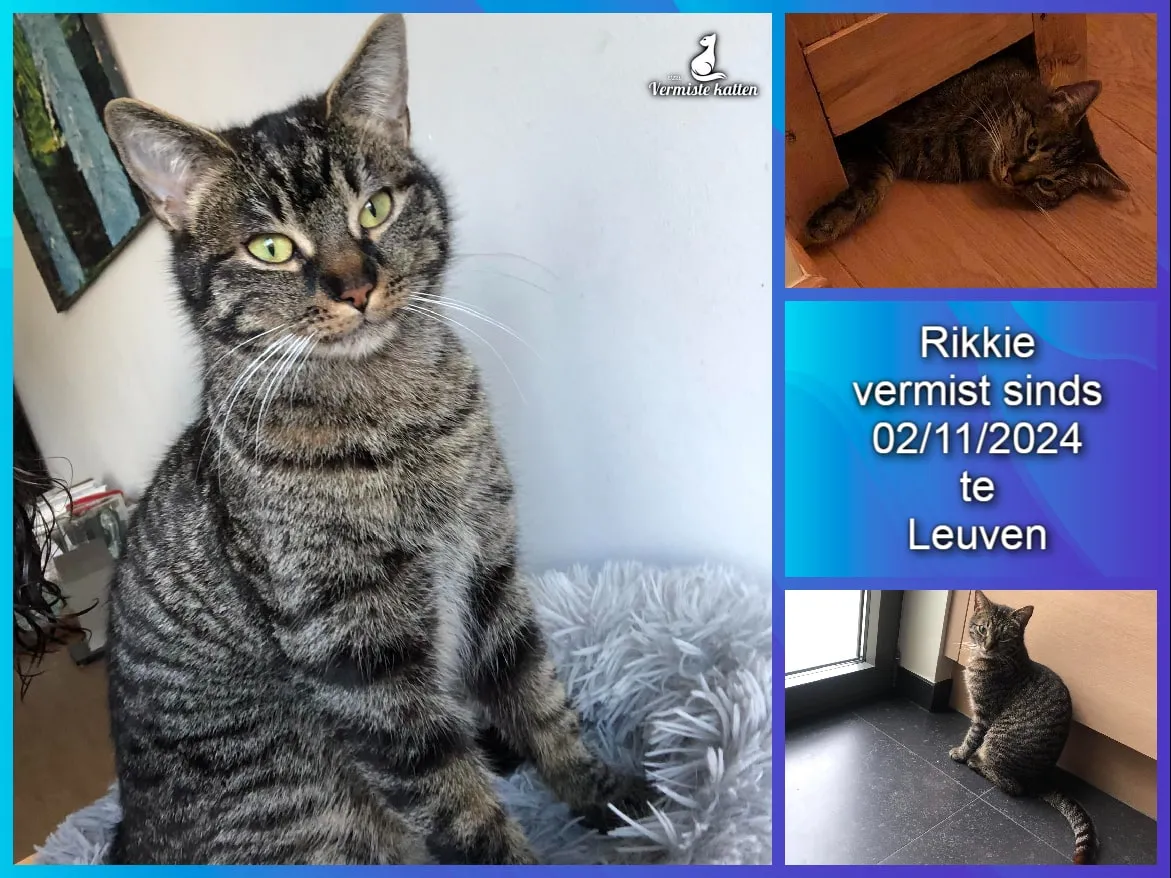 Rikkie