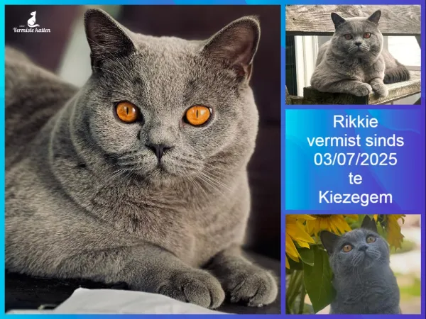 Rikkie